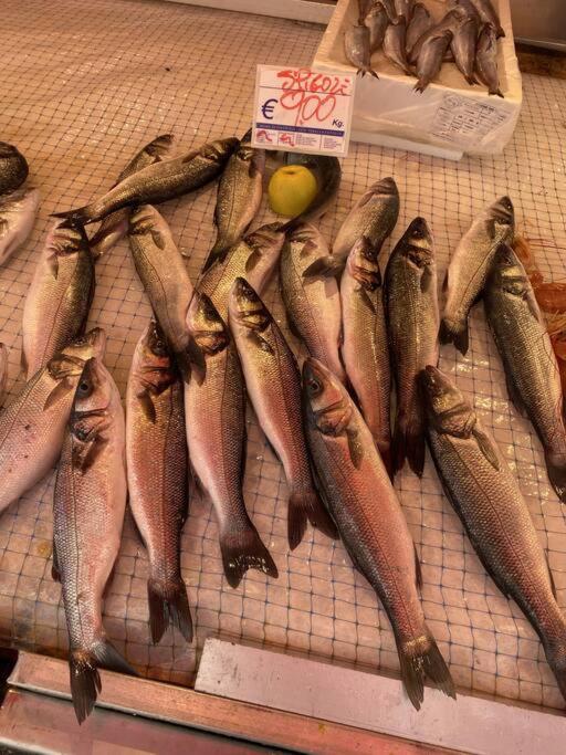 Casa Del Pescatore Di Ortigia Syracuse Bagian luar foto